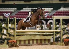 50 Questions with Liza Boyd at The Capital Challenge Horse Show