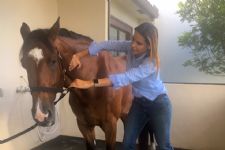 A Day In The Life with Palm Beach Equine Clinic's Dr. Natalia Novoa