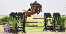 Meet Our Clients: World Equestrian Center