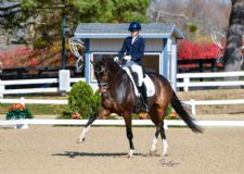 Expanded Classes at 2024 US Dressage Finals and Return of Renamed Dressage in the Bluegrass