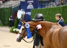 Media Accreditation Application Open for 2026 Washington International Horse Show