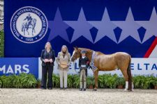 Ward and Rossano Take Final Day Pony Wins at 2026 WIHS