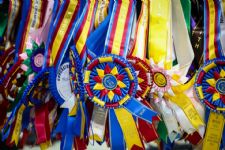 Strong Growth in Championship Participation at 2026 US Dressage Finals